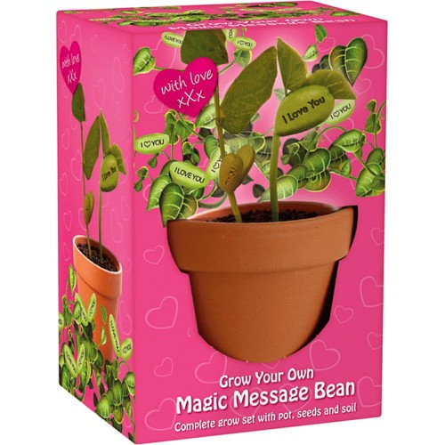 Grow Your Own Magic Message Bean Compare Prices & Where To Buy