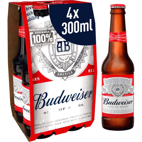 Fût 5L Budweiser Budvar