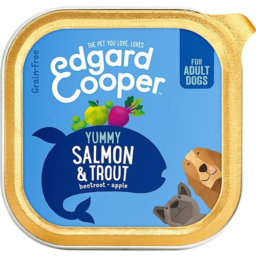 Adult Dog Food Grain Free Salmon & Trout