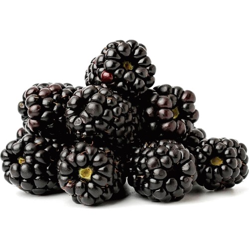 Ethical Food Company Organic Blackberries (150g) Compare Prices