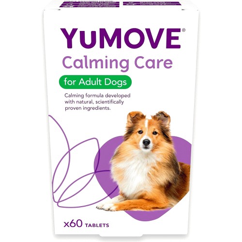 5 of the best senior dog toys – YuMOVE