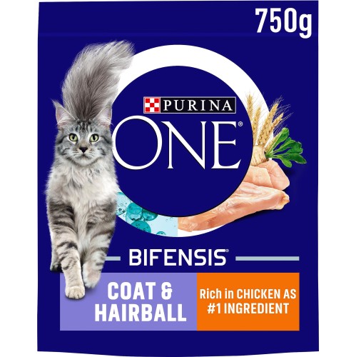 Coat And Hairball Dry Cat Food Chicken