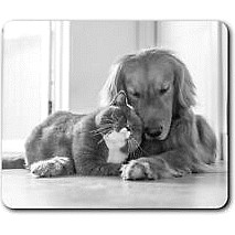 M&S Blueberries Frozen (300g) Compare Prices & Where To Buy Trolley