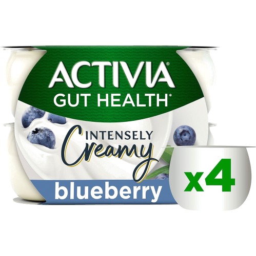 Intensely Creamy Blueberry Yogurt