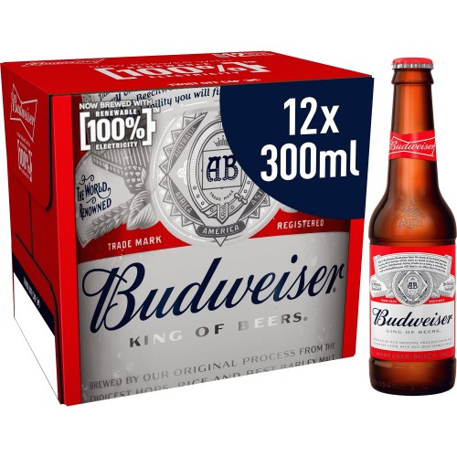 Fût 5L Budweiser Budvar