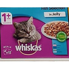 Kitten Wet Cat Food Pouches Fish in Jelly