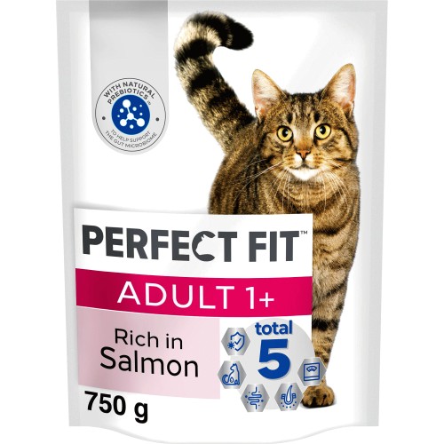 Complete Salmon Adult Dry Cat Food