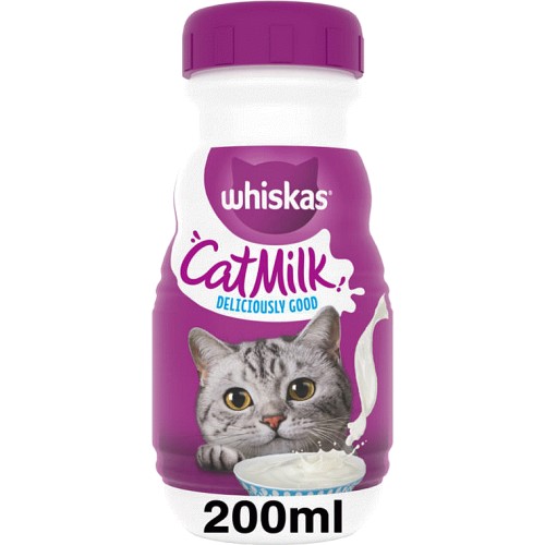 Kitten Cat Milk Bottle