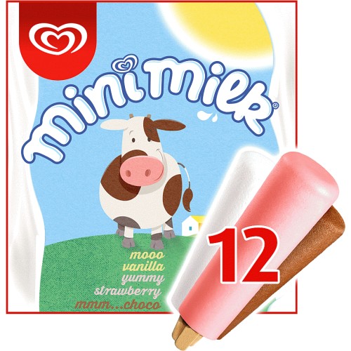 12 Vanilla Strawberry & Chocolate Ice Cream Lollies