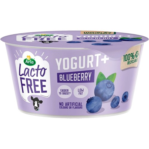 Lactofree Blueberry Yogurt