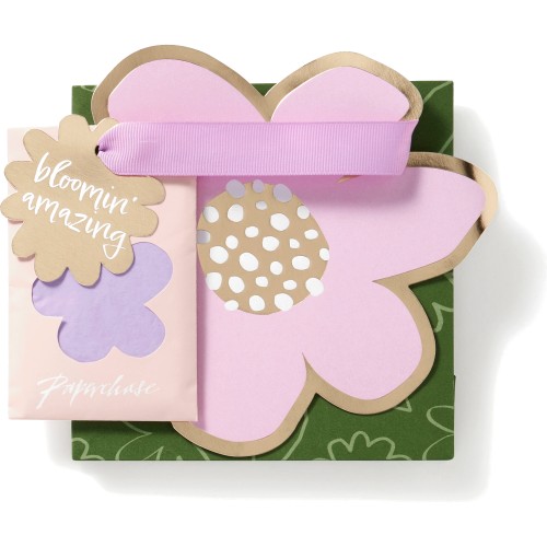 Paperchase Mother's Day Small Gift Bag Compare Prices & Where To Buy