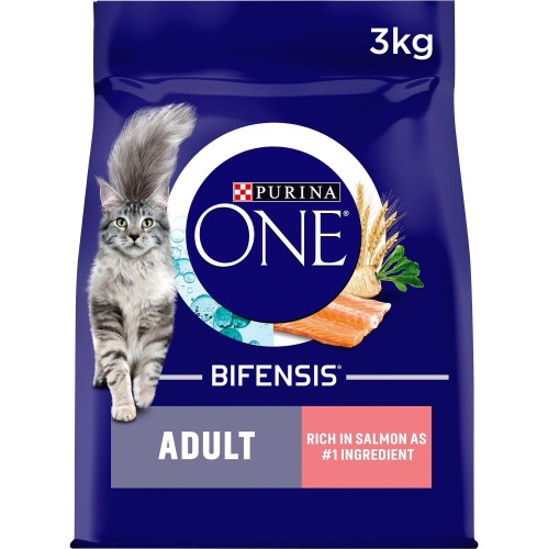 Purina ONE Adult Dry Cat Food Salmon and Wholegrain