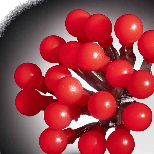 Wilko red berry lights store
