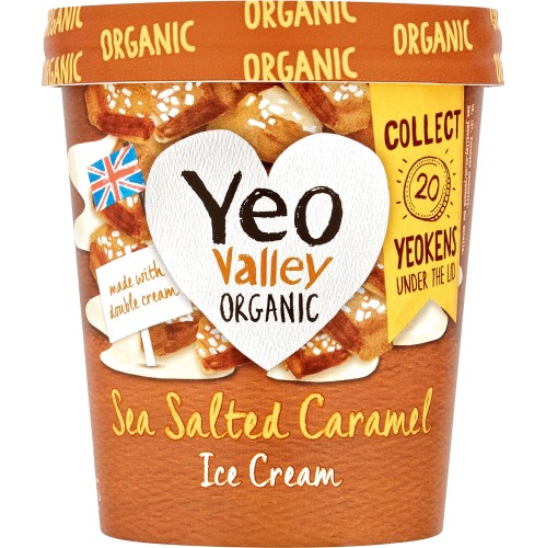 Organic Salted Caramel Ice Cream